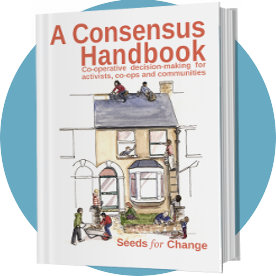 cover of A Consensus Handbook